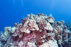 IMG_4240