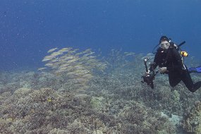 IMG_4322
