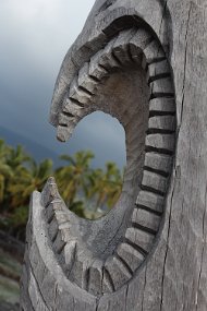 IMG_4361