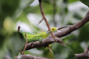 IMG_4461