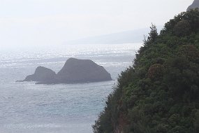 IMG_4489