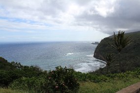 IMG_4490