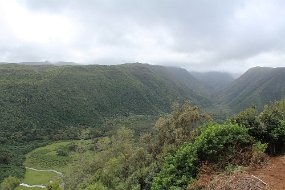 IMG_4494