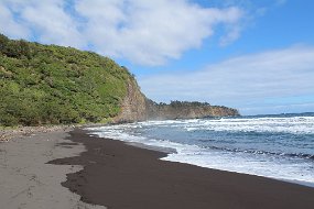 IMG_4499