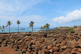 IMG_4516