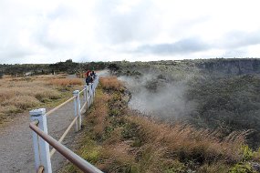 IMG_4521