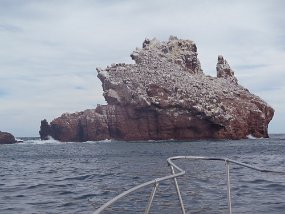Lapaz-805