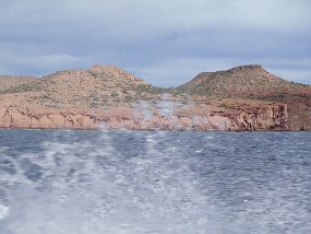 Lapaz-814