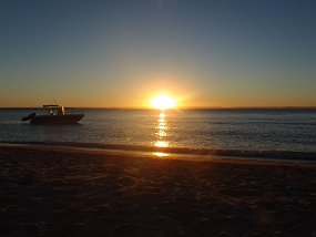 Lapaz-826