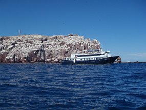 Lapaz-844