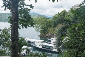 Lembeh-337