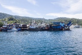 Lembeh-594