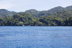 Lembeh-605