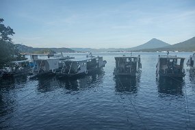 Lembeh-702