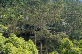 Lembeh-98