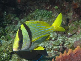 IMG_0060
