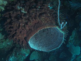 IMG_0067