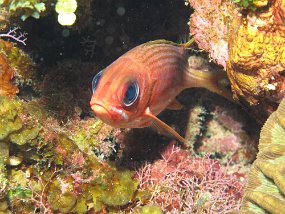 IMG_0072