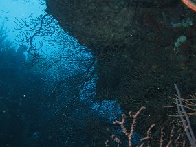 IMG_0139
