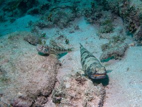 IMG_0185-edited