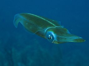 IMG_0303