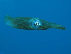 IMG_0304