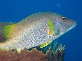 IMG_0432
