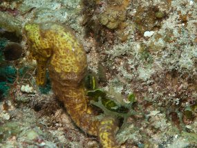 IMG_0440-edited