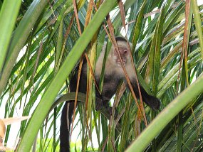 IMG_0564