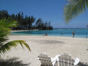 IMG_0569