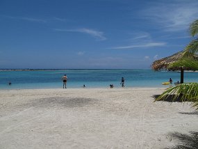 IMG_0570