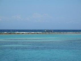 IMG_0572