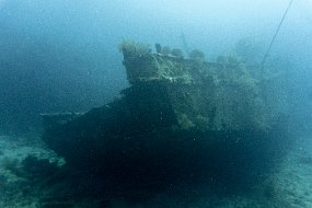 Roatan 2020-156
