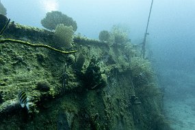 Roatan 2020-157