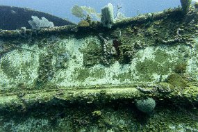 Roatan 2020-159