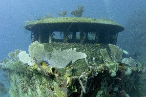 Roatan 2020-160