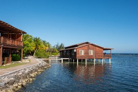 Roatan 2020-309