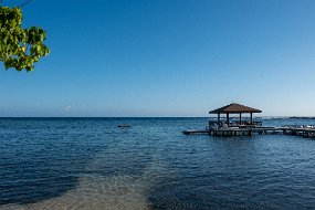Roatan 2020-310