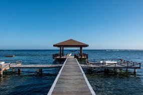 Roatan 2020-311