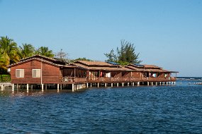 Roatan 2020-313