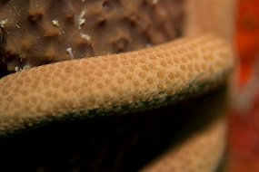 IMG_5238