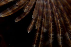 IMG_5259