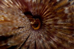 IMG_5260