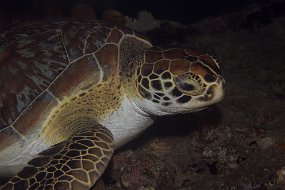 IMG_5321