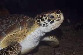 IMG_5323