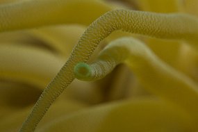 IMG_5383