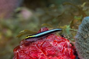 IMG_5416