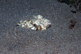 IMG_5496