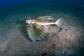 IMG_5555