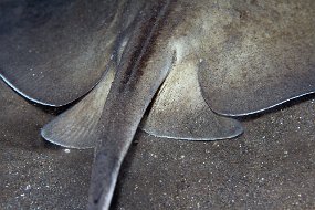 IMG_5645